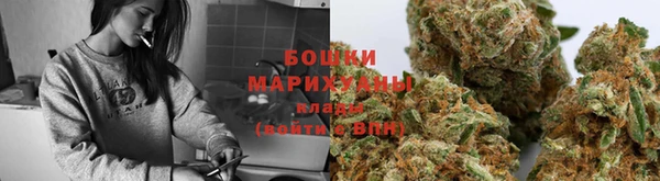 ГАЛЛЮЦИНОГЕННЫЕ ГРИБЫ Володарск
