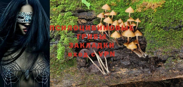 ГАЛЛЮЦИНОГЕННЫЕ ГРИБЫ Володарск