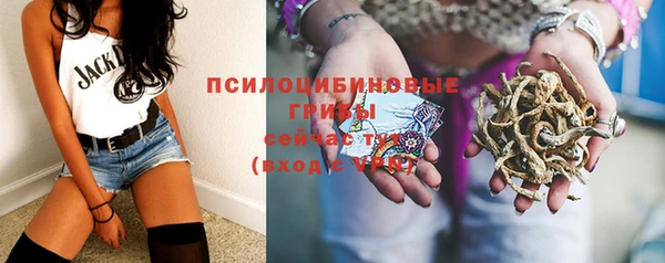 прущие крисы Волосово