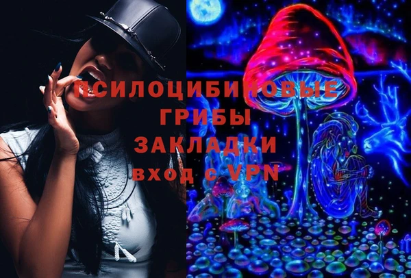 ГАЛЛЮЦИНОГЕННЫЕ ГРИБЫ Володарск