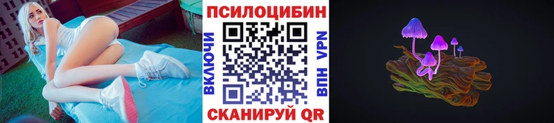 Купить  Мариинск  Псилоцибиновые грибы MAGIC MUSHROOMS 